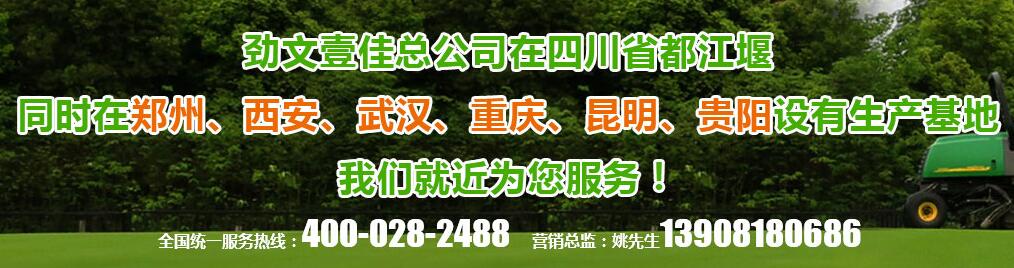 植草格鋪裝公司